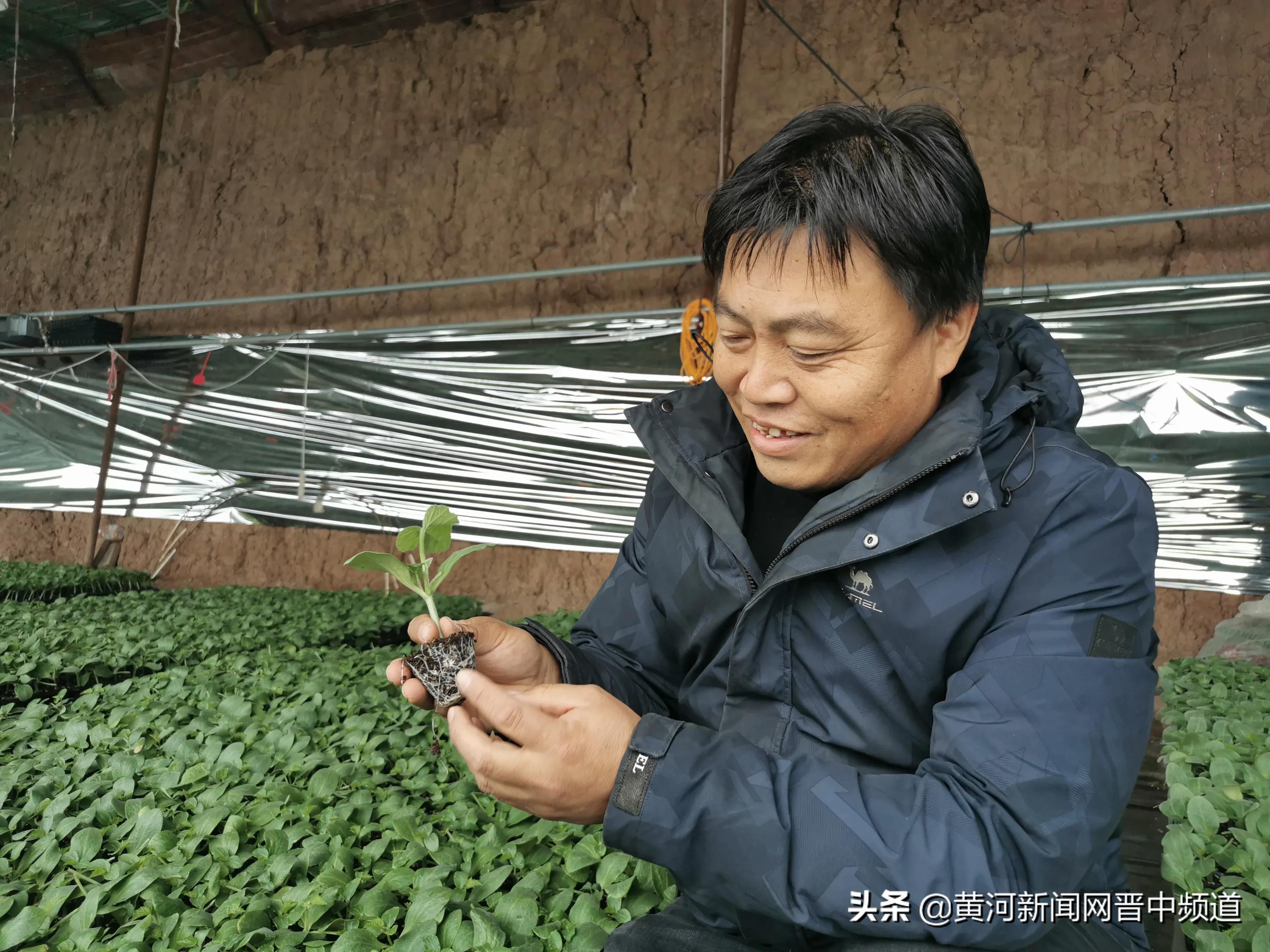 榆次修文最新规划,榆次修文最新规划，小巷深处的惊喜与独特魅力