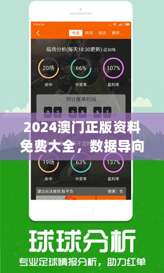 新澳2024正版资料免费公开,平衡计划息法策略_轻量版22.189