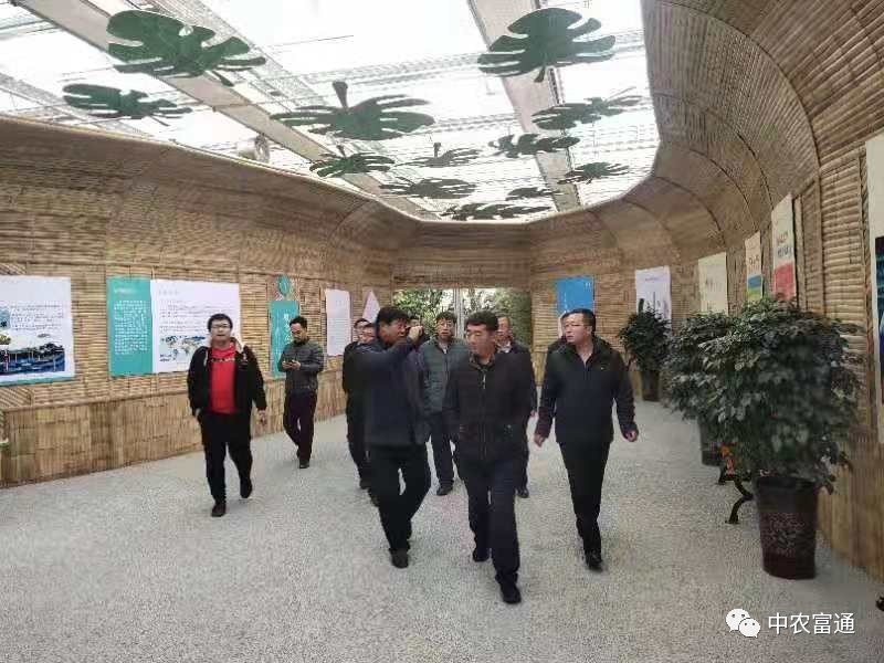 包头华夏中农最新动态——绿意盎然下的温情发展之路
