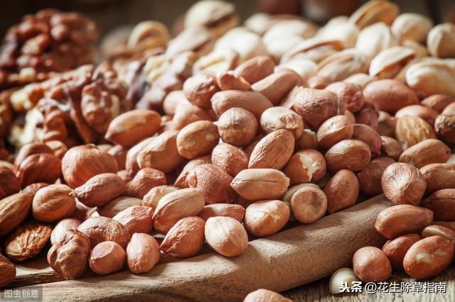 固镇花生米最新价格，时代印记与市场的脉动