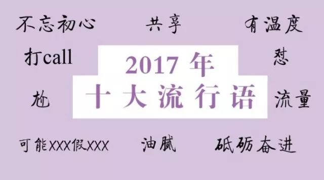 2017年最新网络流行语，演变与影响深度解析