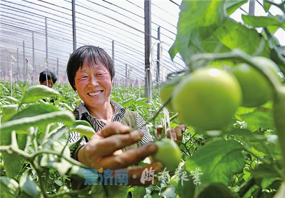 济南商河最新女工招聘，科技引领未来，全新体验启程