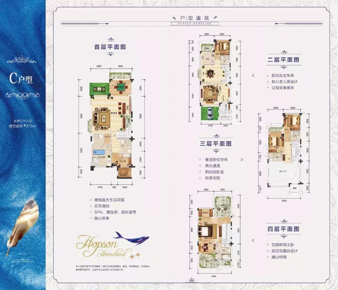 合生滨海城最新动态深度解析，最新进展与观点阐述