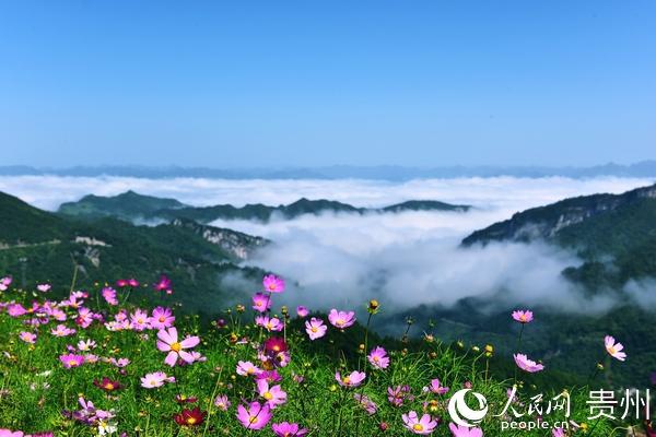 贵州桐梓九坝最新图片