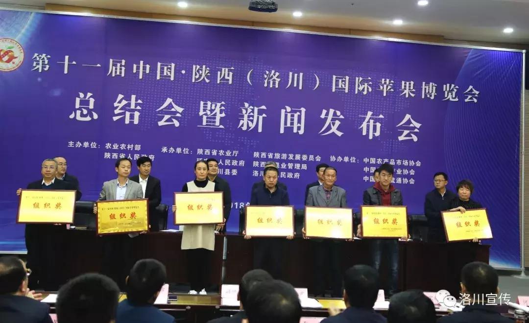 案例展示 第160页