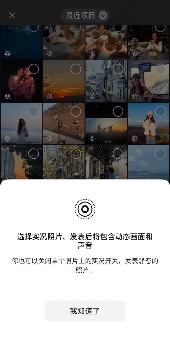 最新吧的温馨日常，爱与陪伴的奇妙旅程