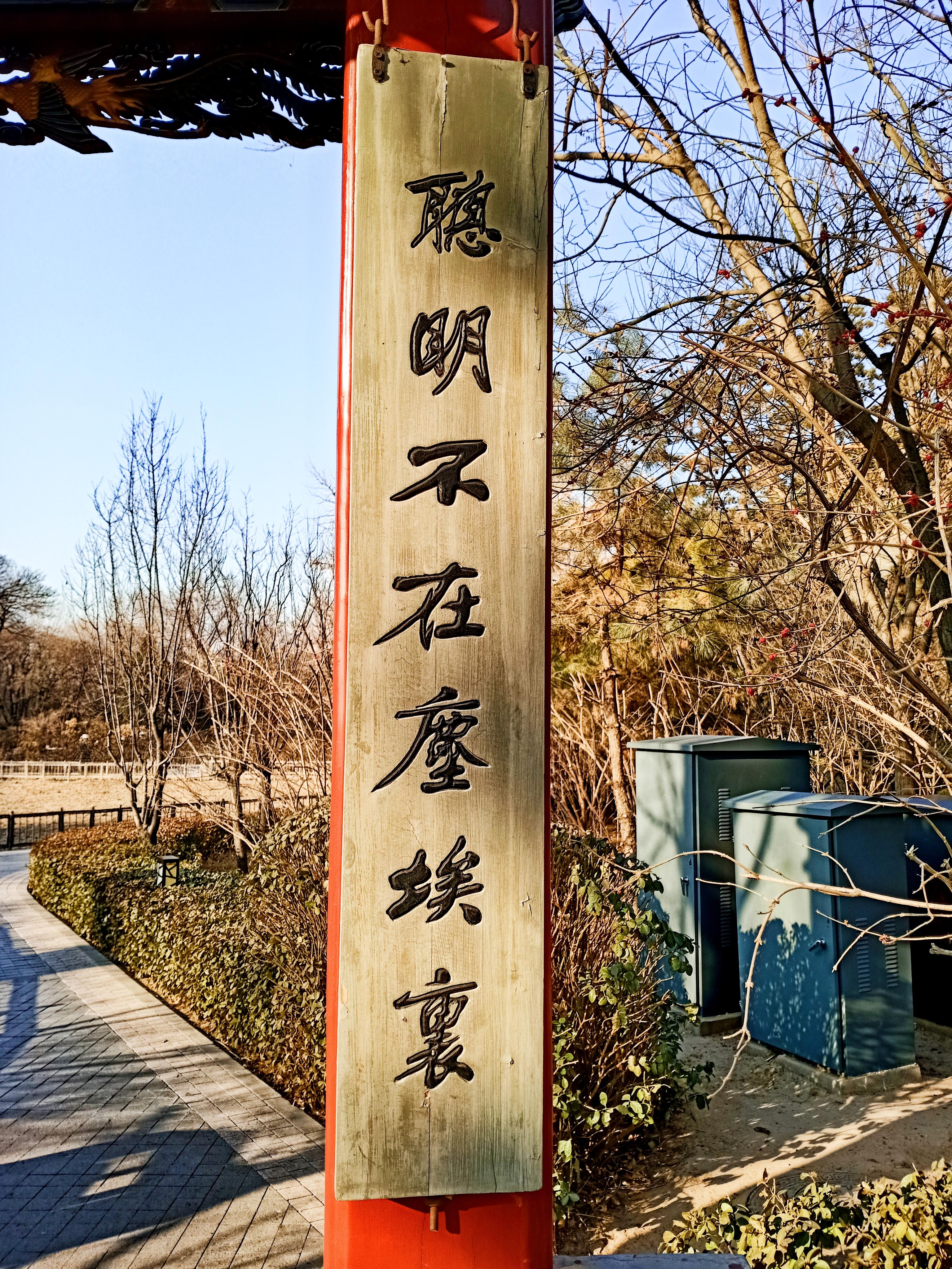 太原迎泽公园最新动态揭秘，日常温馨故事开启新篇章