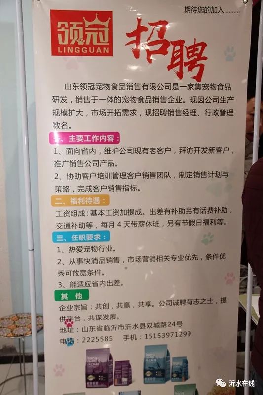 临沂最新兼职招聘信息，时代背景下的兼职热潮涌动