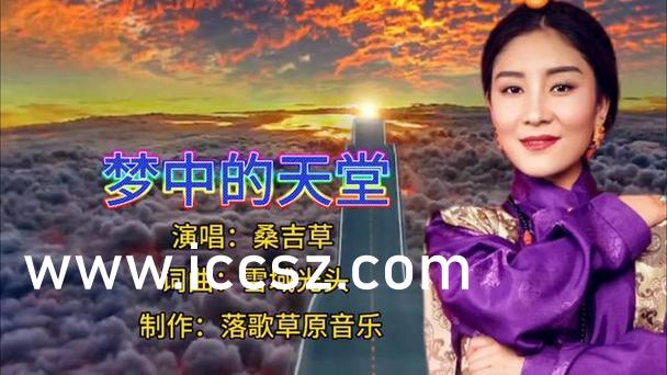 花落官途，权力之路的探寻、洞察与最新章节揭秘