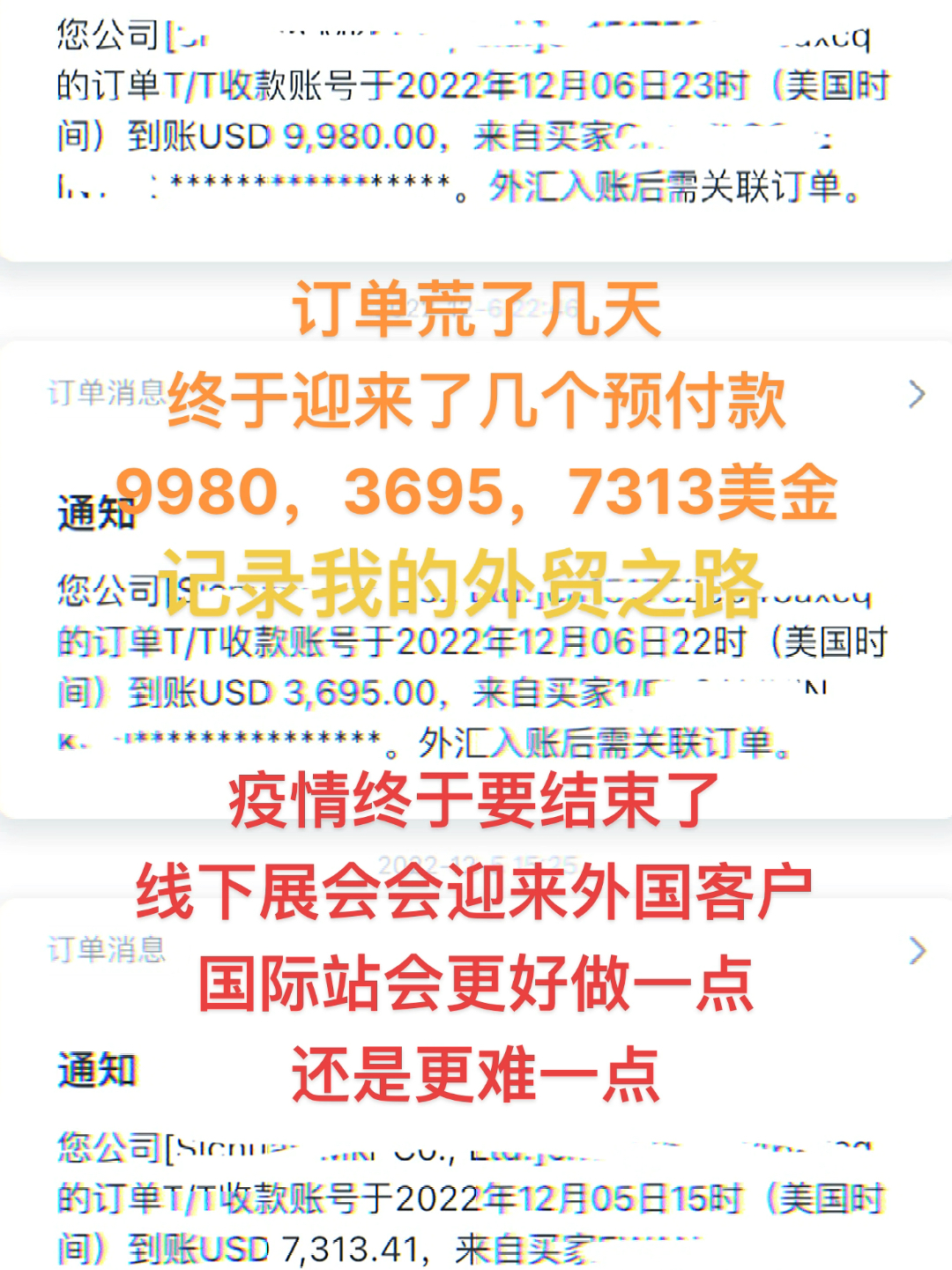 外协网最新订单，友情与陪伴的温馨故事之旅
